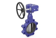 butterfly valve.jpg